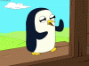 penguin.gif