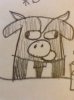 cow.jpg