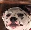 image.jpeg