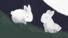 bunnies.jpg