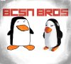 bcsnbros.jpg