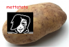 Art.png