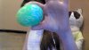 WIN_20160327_13_53_01_Pro.jpg