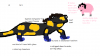 salamander hamilton.png